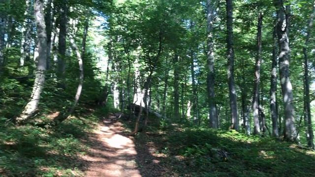 Красная Поляна, Хмелевские озера, озеро Зеркальное смотреть онлайн