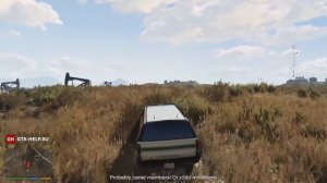 Джо и Джозеф — Американское радушие (Золотая медаль) — GTA 5