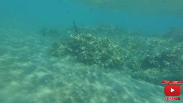 Египет / Бухта Наама Бэй /Naama Bay смотреть онлайн