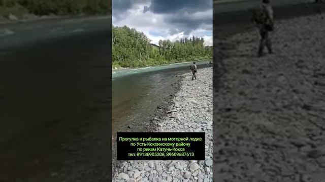 Прогулки и рыбалка по р. Катунь смотреть онлайн