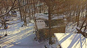 ТАЕЖНАЯ КУХНЯ, ВКУСНЕЙ ЧЕМ В РЕСТОРАНЕ. Жизнь и быт в Дальневосточной ТАЙГЕ.