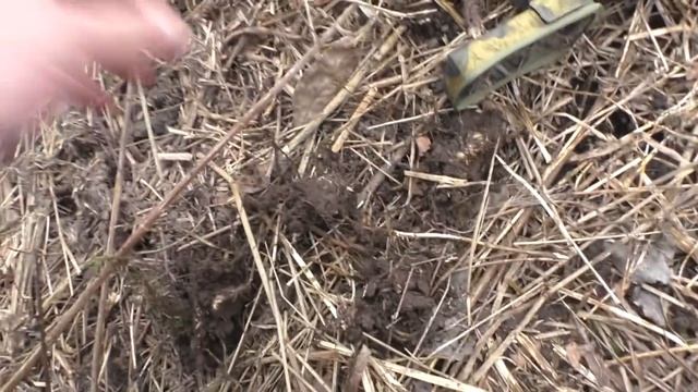 НАХОДКИ ОГОНЬ / ПЕРВЫЙ ВЫХОД С ДЕУСОМ - 2 ВПЕЧАТЛЯЕТ. смотреть онлайн