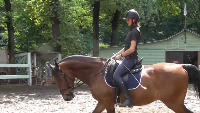 Уроки верховой езды. Равновесие в движении. Учебная рысь. смотреть онлайн