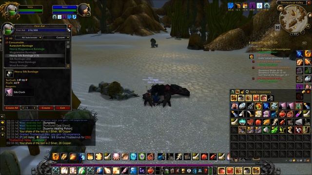 Wow Classic Hard Core Priest/Mage lvling смотреть онлайн