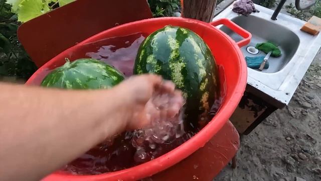ПРИГОТОВИЛИ КИСЛЫЙ ТОМАТ ДЛЯ БОРЩА / КУПИЛИ АРБУЗЫ 15 РУБ ЗА КИЛО / ГОТОВЛЮ ОГОРОД К ПАХОТЕ смотреть онлайн
