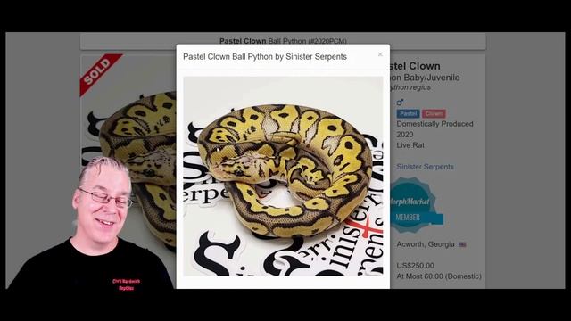 The 'Karma' Ball Python смотреть онлайн