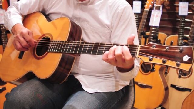 IWANEKO GUITARS Type-MS - Dolphin Guitars смотреть онлайн