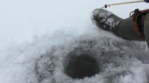 Ловля на мормышку на течении - 1