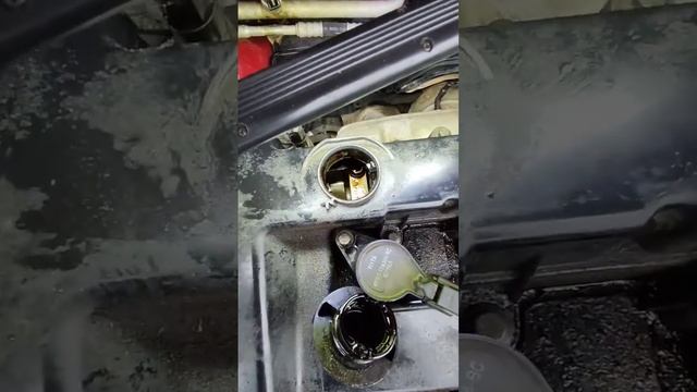 Как проверить уровень масла на двигателях DURATEC 1.8-2.0 #fordfocus2 смотреть онлайн