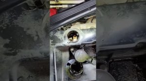 Как проверить уровень масла на двигателях DURATEC 1.8-2.0 #fordfocus2