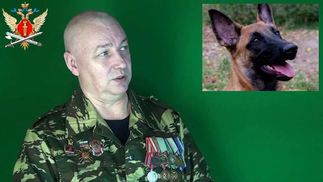 110 лет кинологической службе в России ФКУ ИК 2 г Екатеринбург смотреть онлайн