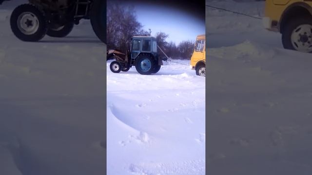 Трактор Беларус МТЗ-80 вытаскивает школьный ПАЗик смотреть онлайн