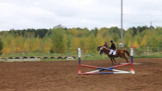 Эльвира Мамедова и Златогор 40 см смотреть онлайн