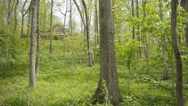 Kirkridge смотреть онлайн