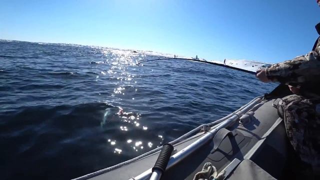 Морская рыбалка.Ловля трески в Териберке.Остров Кильдин.Кольский полуостров.Апрель. смотреть онлайн