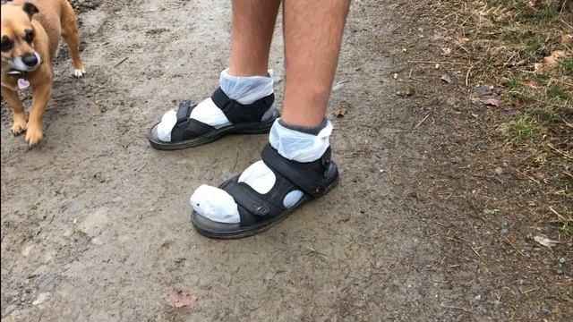 Дом и Садовый Декор