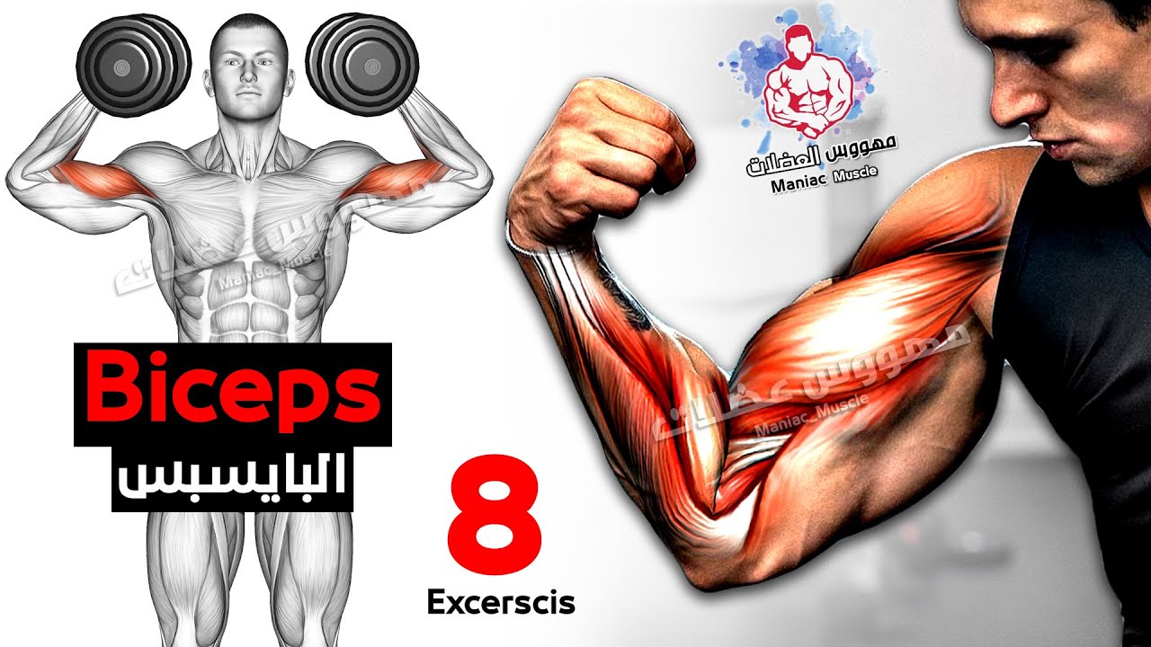 ? Как быстро накачать бицепс (7 эффективных тренировок) смотреть онлайн