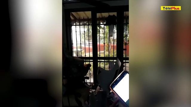 Curepipe : chute d’un arbre sur une maison, des dégâts constatés смотреть онлайн