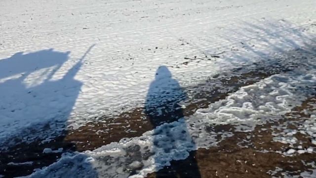 Внесение ам.селитры в 2021 году! погнали) смотреть онлайн