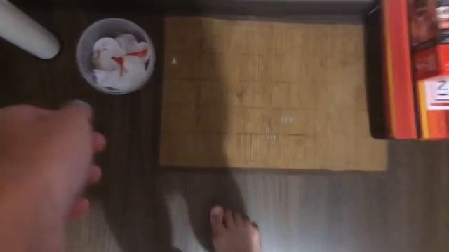 Переселение улитки ахатина/Новоселье?