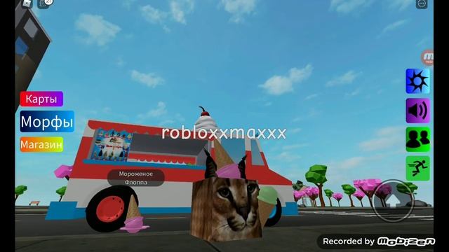 Find The Floppa , как найти всех флопп