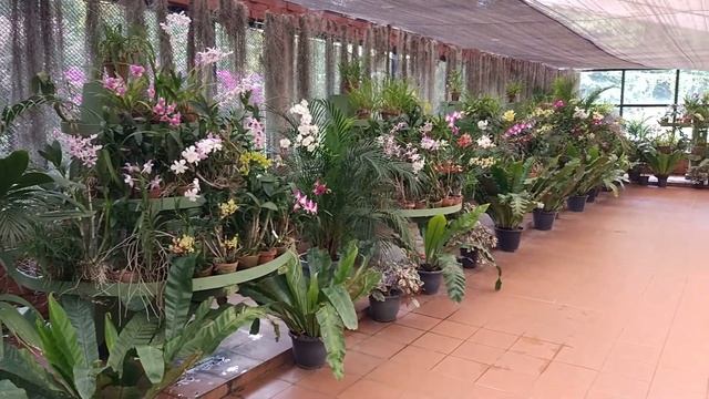 Шри-Ланка , отпуск мечты. / Sri - Lanka , holiday of dream . смотреть онлайн