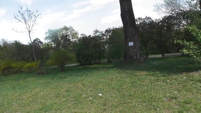 Ботанический сад им. Гришко, Киев 26.04.18 смотреть онлайн