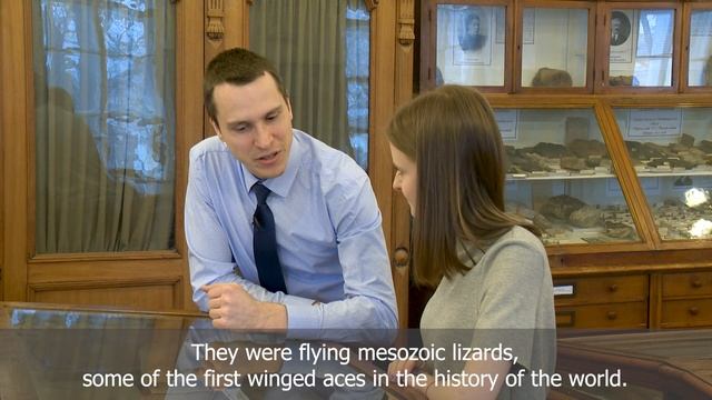 Planet University. Paleontological and Stratigraphic Museum.