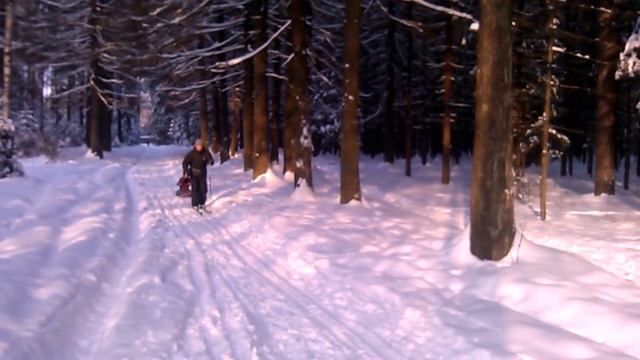 Лосиный остров, прогулка с ребенком смотреть онлайн