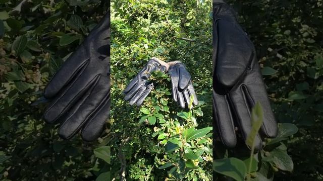 Кожаные перчатки с подкладкой из верблюжьей шерсти