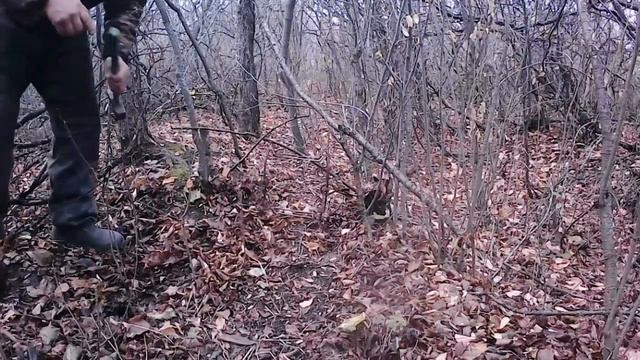 охота на барсука,закрыл сезон... всё замёрзло и барсук уснул.. смотреть онлайн