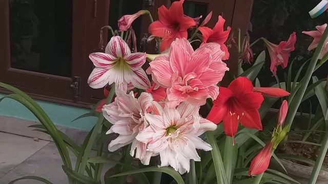 12 April 2021 смотреть онлайн