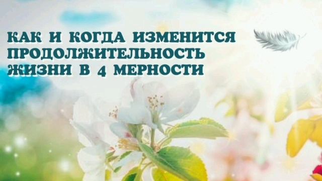 Как измениться продолжительность жизни в 4 мерности. Контактер с Высшим тонким планом Велеса. смотреть онлайн