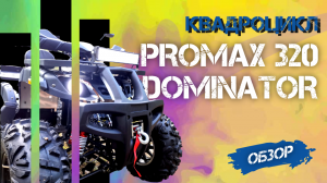 ПОЛНЫЙ ОБЗОР квадроцикла PROMAX 320 DOMINATOR от X-MOTORS