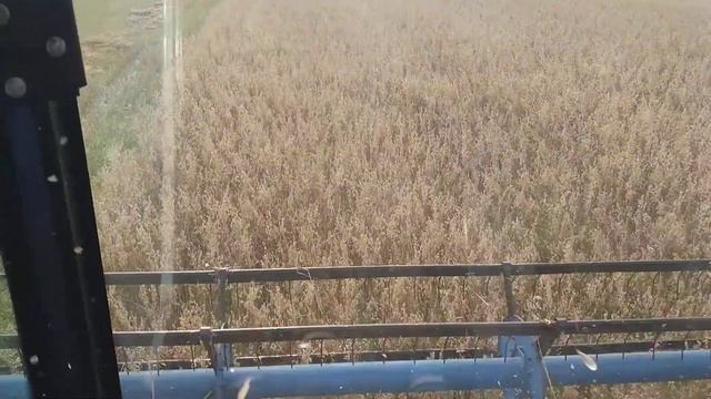 Енисей 950 смотреть онлайн