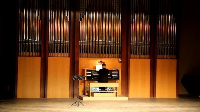 И.С.Бах Хоральная прелюдия фа минор (Органная книжечка) смотреть онлайн