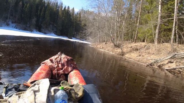Оять 2023 #1 . сплав по реке Ленинградской обл. смотреть онлайн