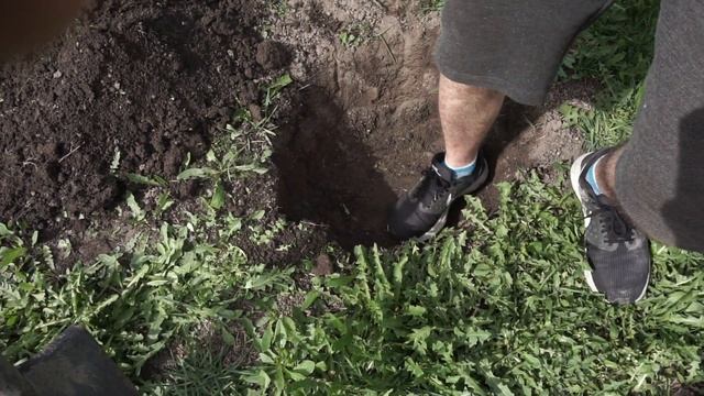 В ЯМЕ ЗАПЕКЛИ КУРИЦУ! 3 КГ. КУРИЦЫ ПОД ЗЕМЛЕЙ - 13 смотреть онлайн