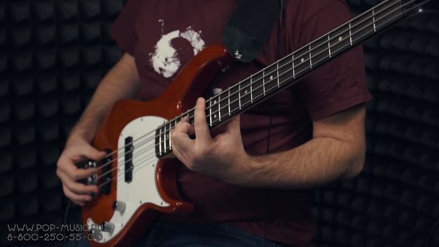 Комбо для бас гитары WARWICK BC20 смотреть онлайн