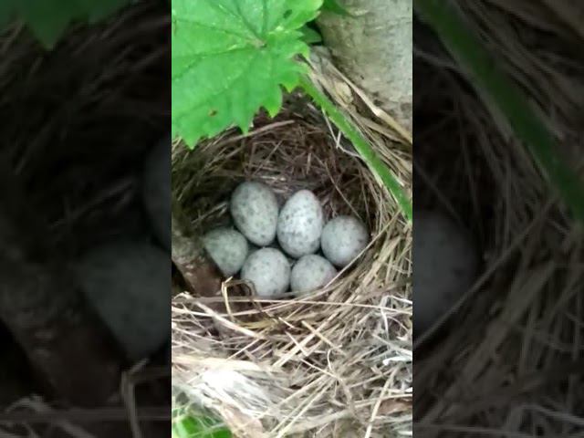 19 июня 2022 г. смотреть онлайн