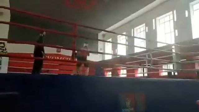 Дмитрий Цыганок, победа в соревнованиях по боксу смотреть онлайн