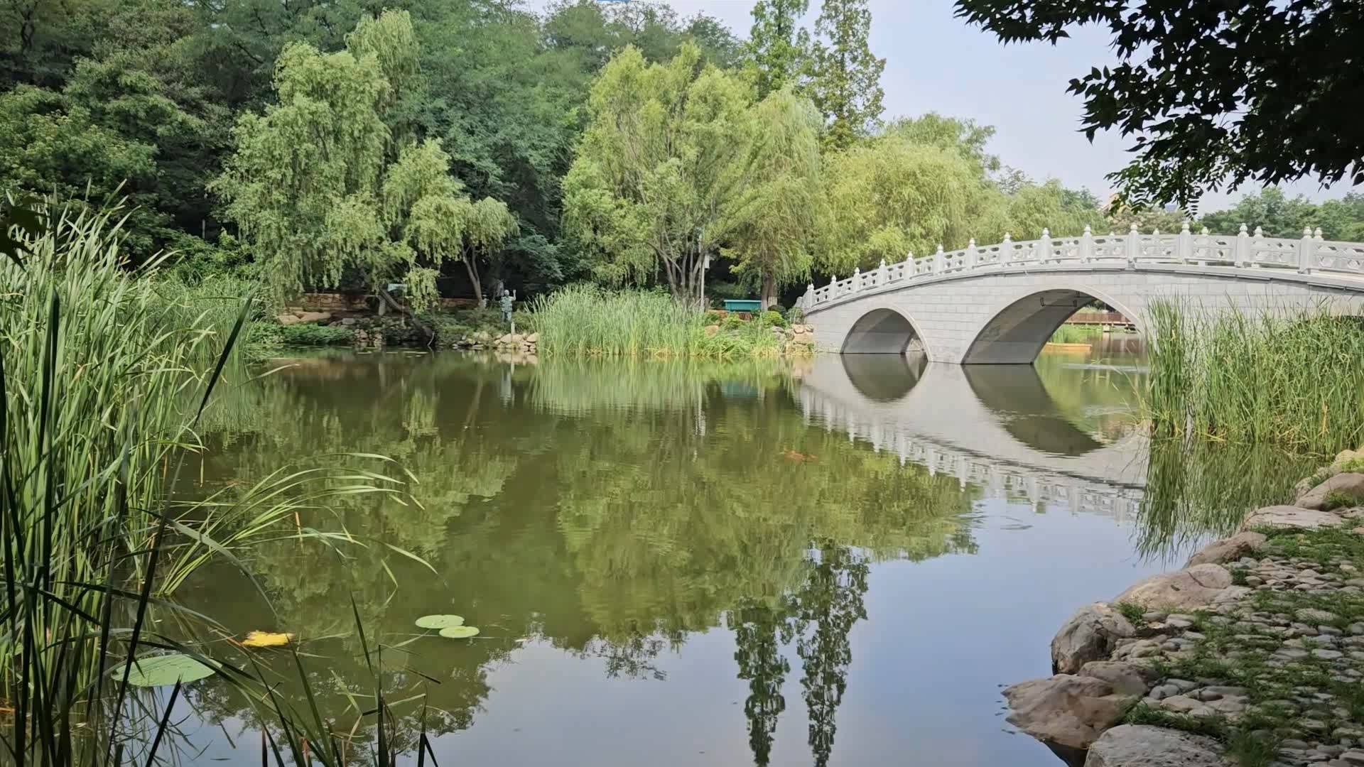 Далянь день 7 / часть 1 (02.08.2024) ботанический сад Далянь Dalian смотреть онлайн