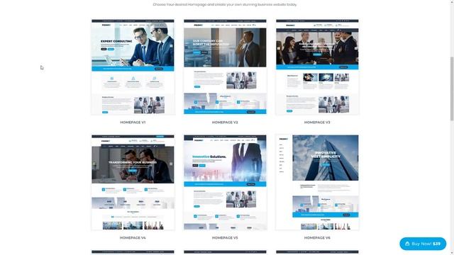 Pixomi - A Modern Consulting and Business WordPress Theme Dede смотреть онлайн