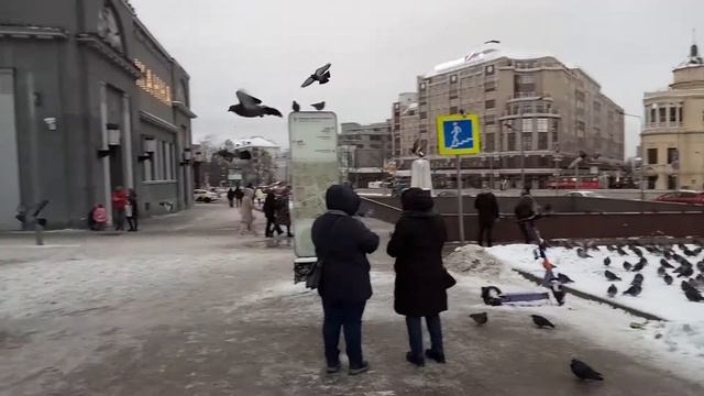 Путешествие #60 Москва, Арбат, ГУМ, Красная площадь, Чистые пруды, пицца за пазухой 19.11.2022г. смотреть онлайн