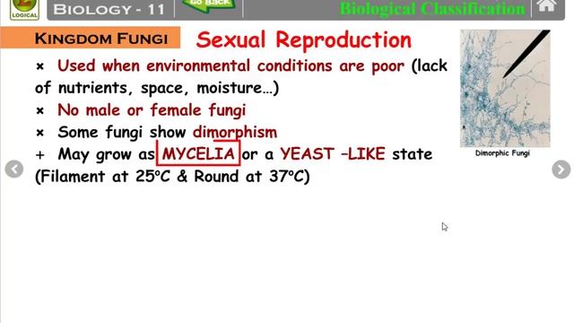 Ch. 2 Biological Classification Part 4 Kingdom Fungi Class 11th Biology explained in Hindi смотреть онлайн