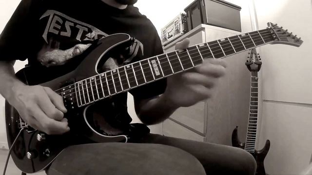 Testament - Into The Pit Guitar Cover смотреть онлайн