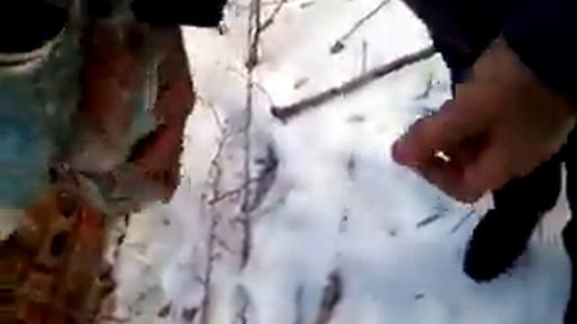 Ужасный день с гномами смотреть онлайн