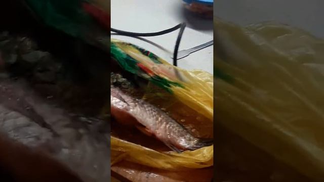 Как быстро почистить рыбу смотреть онлайн