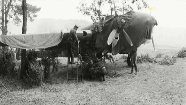 Скребницей чистил он коня, а сам ворчал, сердясь не в меру... смотреть онлайн