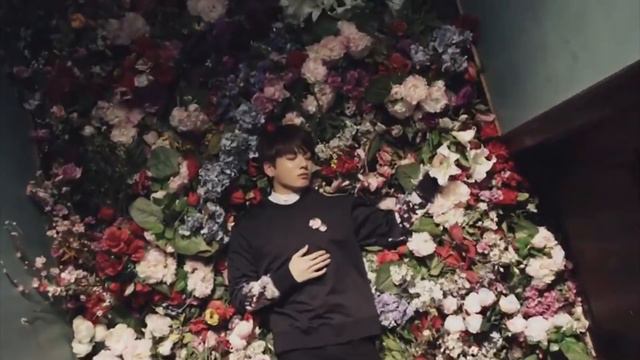 jungkook; малиновый закат смотреть онлайн